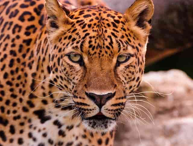 教消防设施(消防设施操作员在哪里报名)