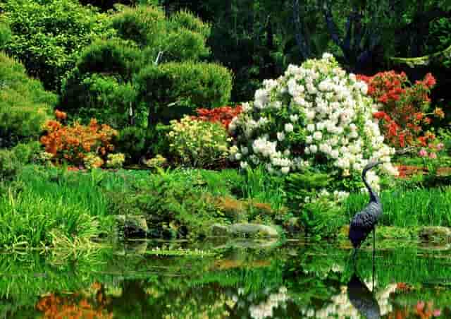 千车万人自驾中国“醉”美草原“99号公路”之旅暨《99号公路》网络微短剧项目启动