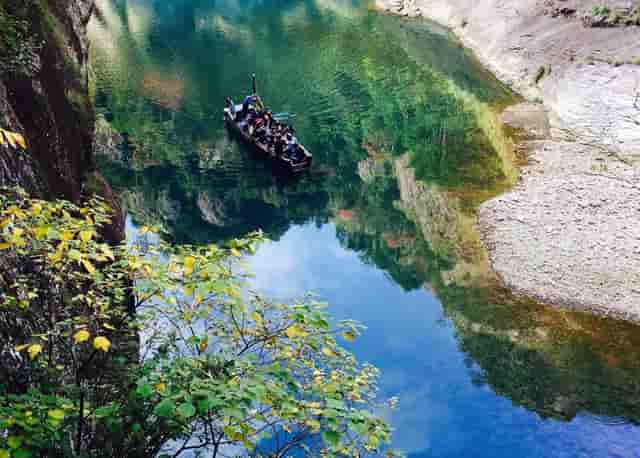 袖虎病猫攻略：猫细小的症状有哪些？