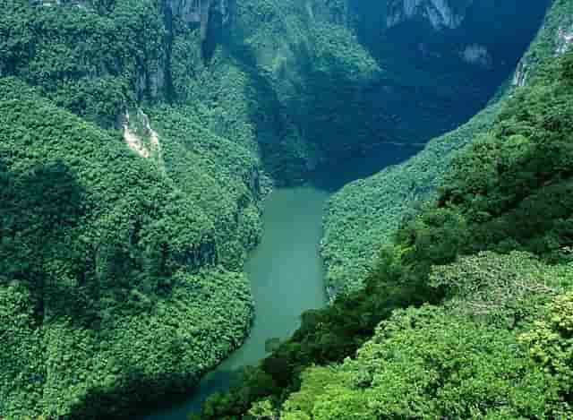 俄罗斯奥委会斜杠