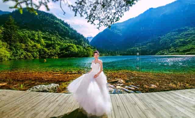 袖虎病猫攻略：猫咪常见骨骼疾病