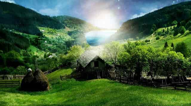 袖虎病狗攻略：狗身上碰不得的7个地方，小心无知被狗咬