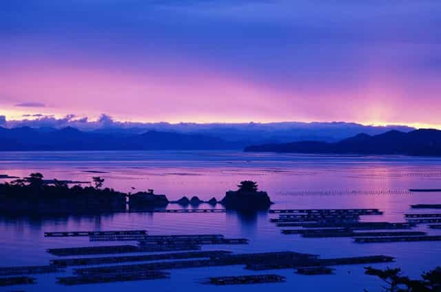 学点“猫咪心理学”，袖虎很靠谱