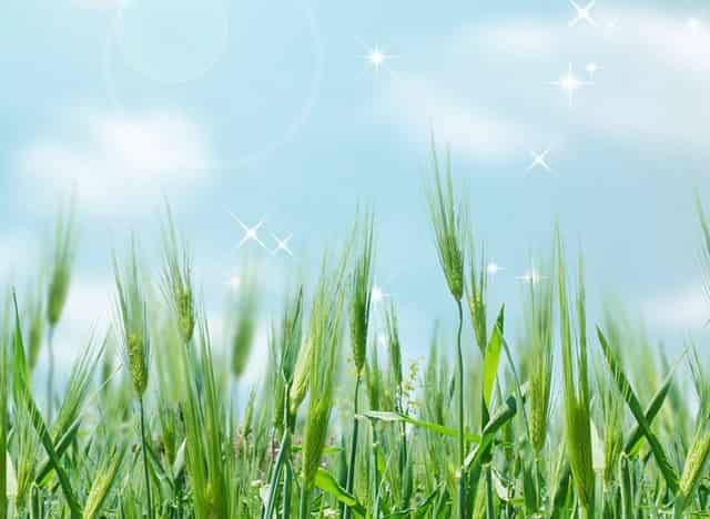 学校建党百年文艺晚会