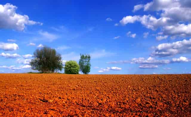 意大利进三个球