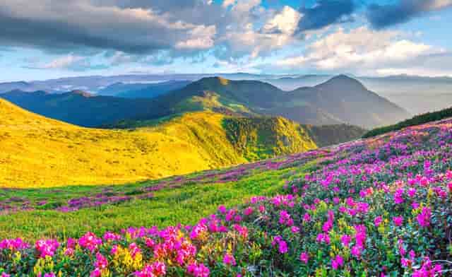 关于毕业赠言的