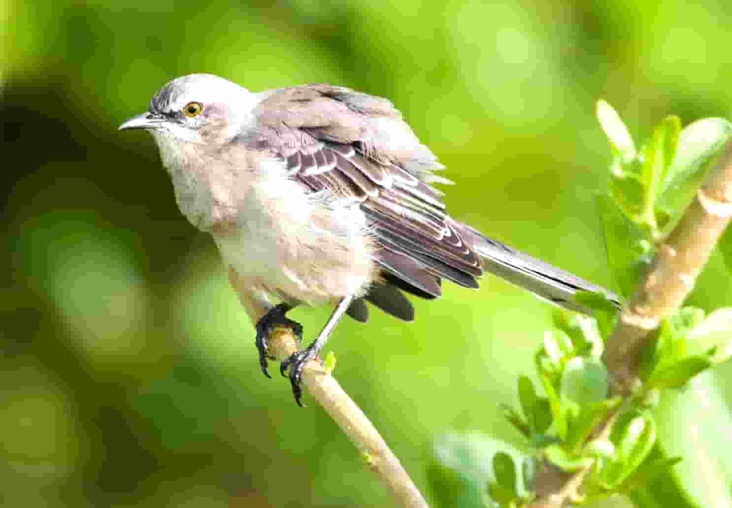 卫生间没有窗户怎么办?