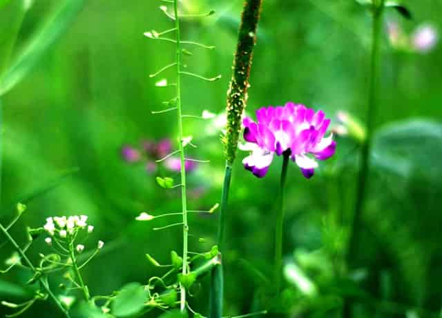 领导不让你做什么工作(让领导做什么题)