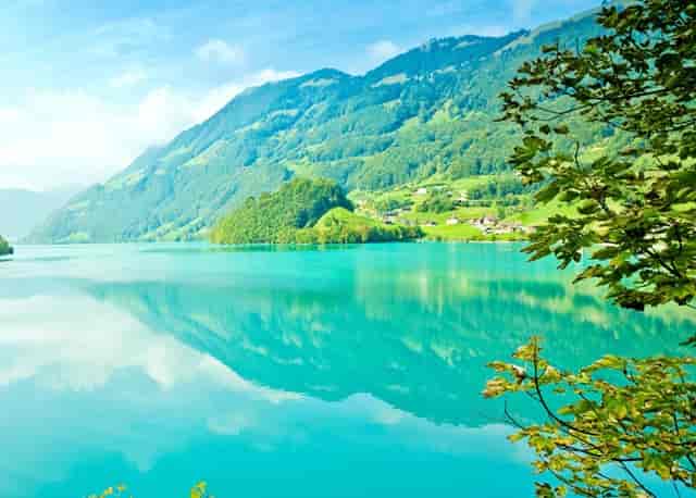 袖虎病猫攻略 ：猫咪挠人的原因之一，脚垫