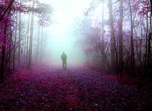 吉利帝豪gl一键升窗按键