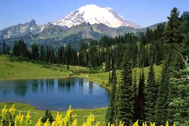 运动员以后是什么样的(运动员受伤喷的是什么)