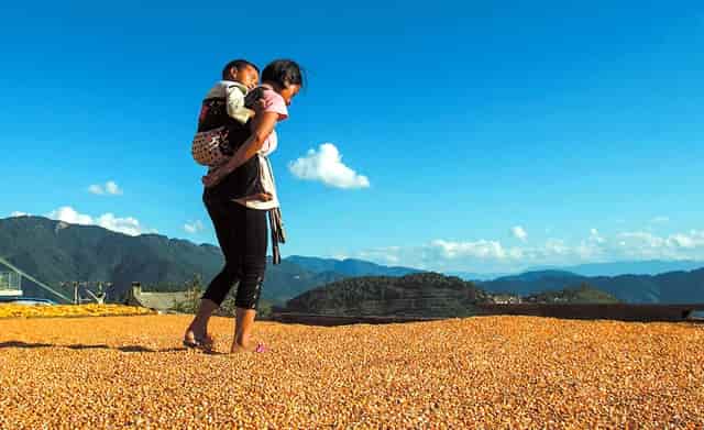 两个孩子不学说话