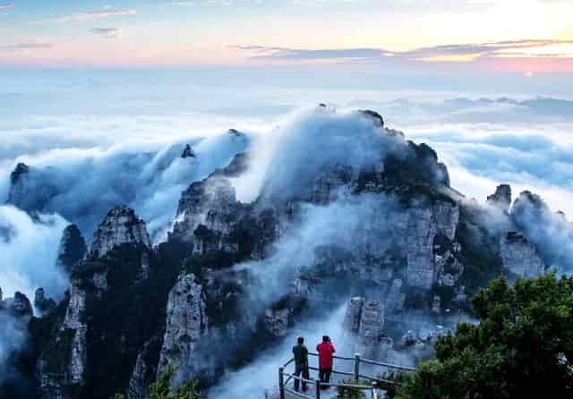 袖虎病狗攻略：狗狗晕车怎么办