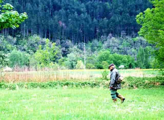 袖虎这个训猫技巧，一般人不知道