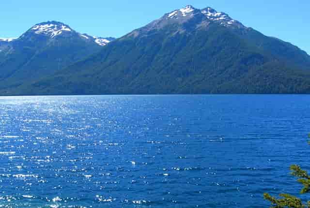 袖虎带来两种狗狗常见肢体语言解读