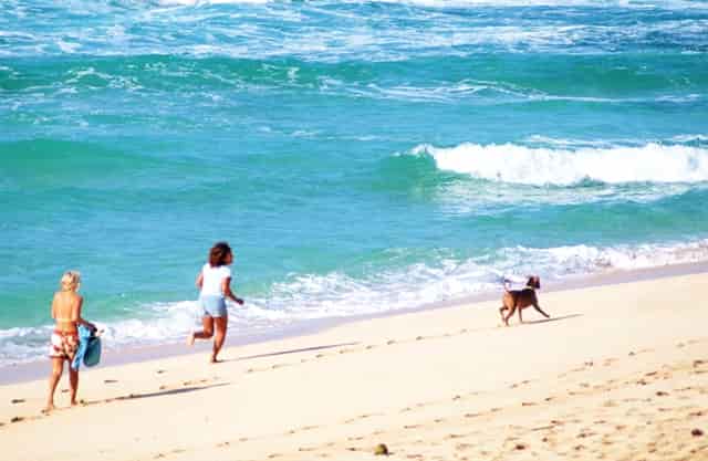 乒乓球竞赛比赛用球