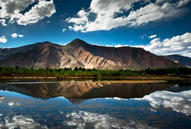 中国队武磊最新消息