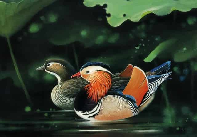 新冠疫苗打第二针晕倒