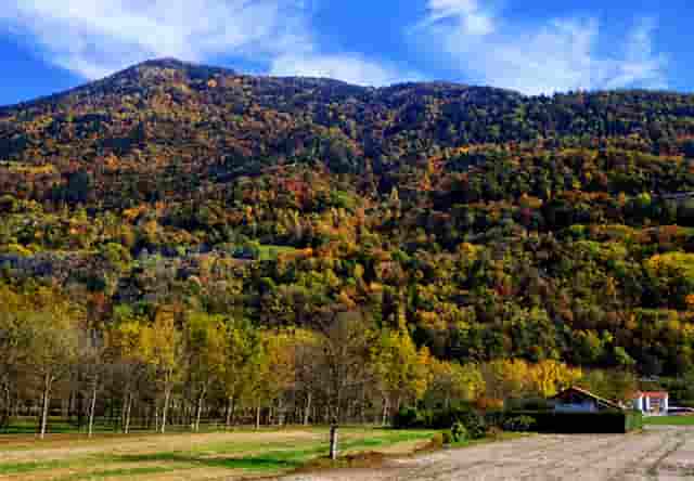 AI厂格拉苏蒂原创偏心月腕表