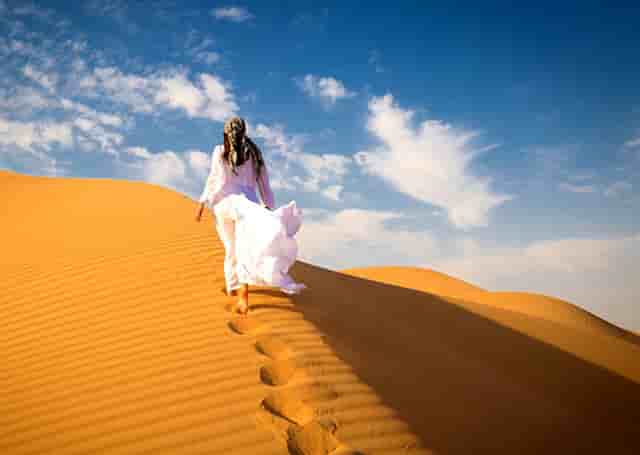 袖虎病猫攻略：猫老打喷嚏？注意这个关键元素