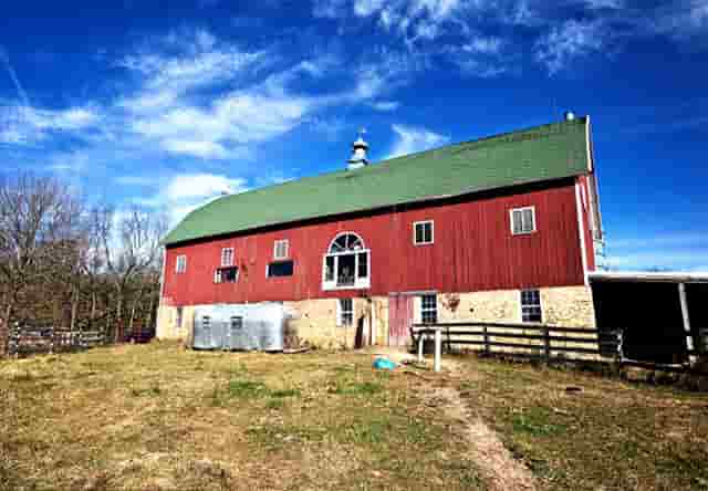 袖虎病狗攻略：狗怎么会瘸？