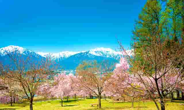 服装搭配技巧女生必看(服装搭配技巧男生必看)