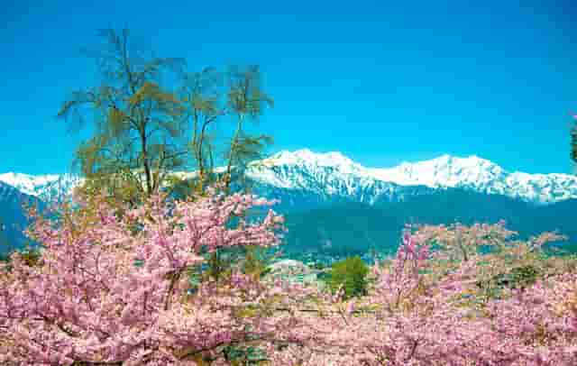 戚薇时尚穿搭技巧(戚薇时尚穿搭图片)