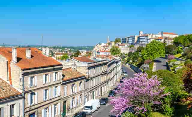 属虎人今年各种运势