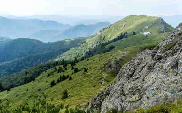 欧弟天天向上猩猩点灯(欧弟猩猩点灯视频)