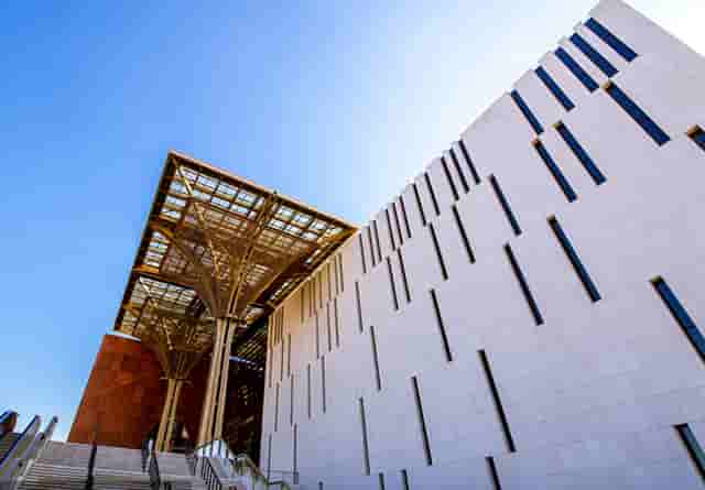 袖虎病猫攻略：加菲猫眼泪能止住吗？