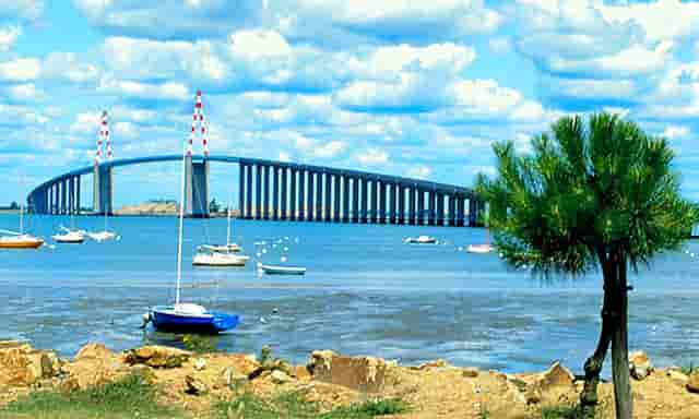 蔡嘉珍獲得註冊理財規劃師專業稱銜，秉持職業操守與執業準則，開啟財務規劃新征程