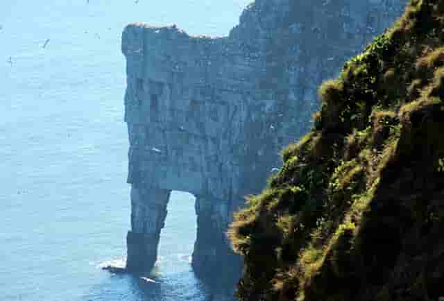 中介带房没看中(中介说我看中的房有别人)