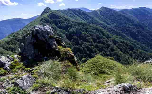 有不动产权证号多久的证(不动产权证办理要多久)