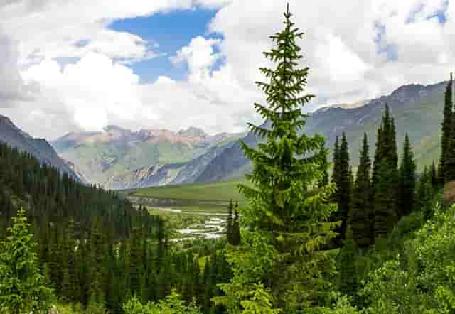 4.2米油耗多少钱一公里(4.2米厢货车油耗多少)