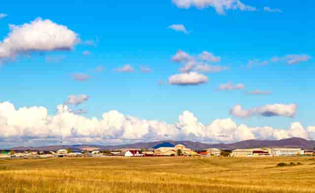 袖虎病狗攻略：关于狗狗断尾那些你不知道的事