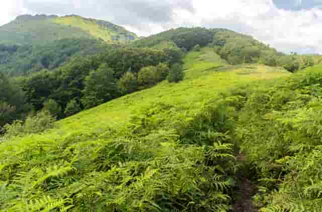 宝马320li时尚型连接手机技巧(19款宝马320li时尚型)