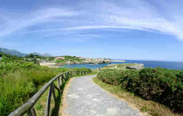 全息摹复 焕彩流丹 ——和林格尔东汉墓室壁画整体摹复及中国古代壁画的非本体再现展学术研讨会将在上海举办