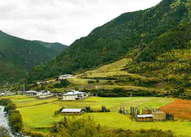 男装t恤时尚穿搭技巧(方糖男装时尚穿搭)